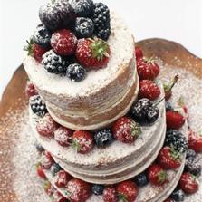 Naked Cake with Berries and Icing Sugar
